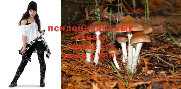 марки nbome Абаза