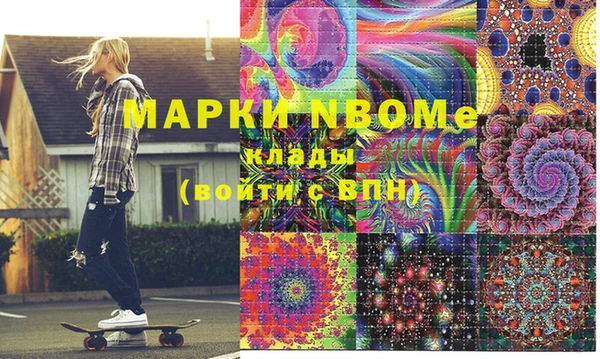 прущие грибы Абинск