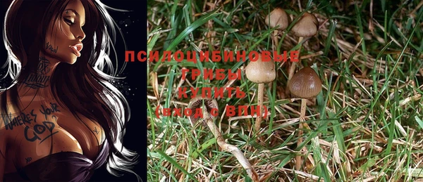 марки nbome Абаза