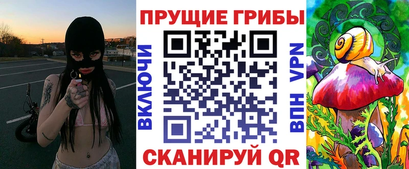 Псилоцибиновые грибы Cubensis  как найти   Барнаул 